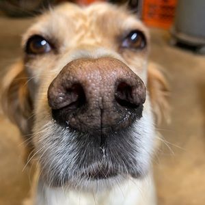 Meet your Posher, Michael